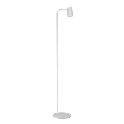 Floor Lamp 1 Light