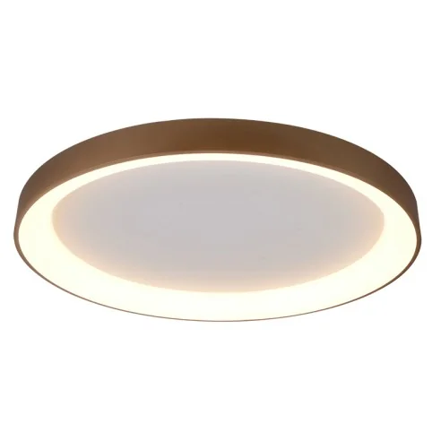 Ceiling Lamp LED