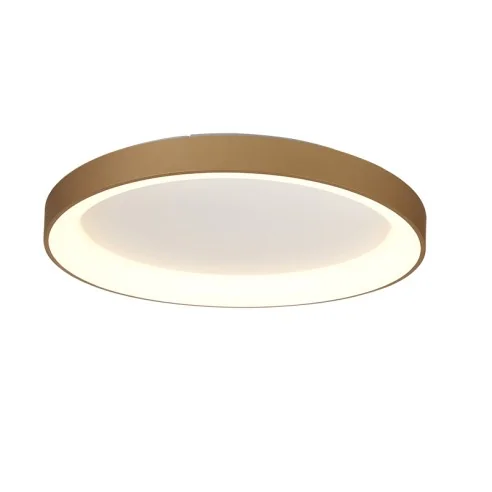 Ceiling Lamp LED