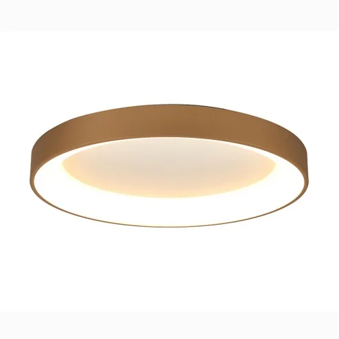 Ceiling Lamp LED