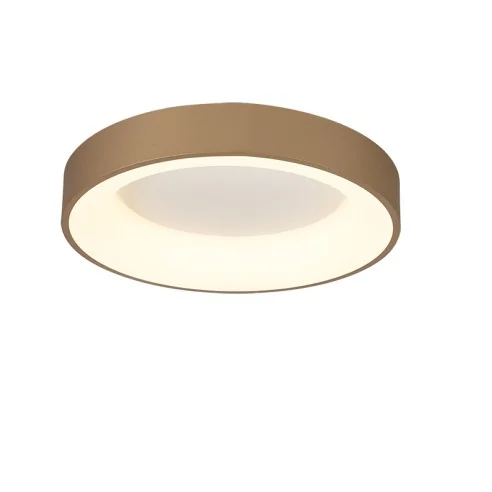 Ceiling Lamp LED