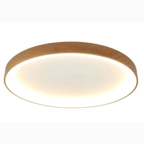 Ceiling Lamp LED