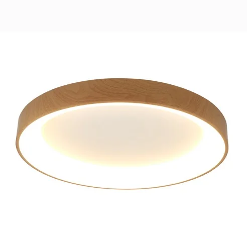 Ceiling Lamp LED