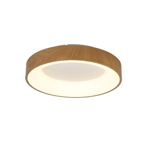 Ceiling Lamp LED