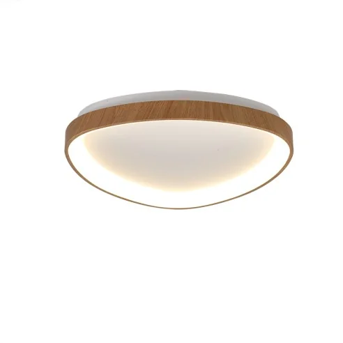 Ceiling Lamp LED