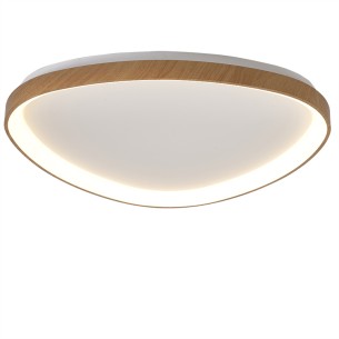 Ceiling Lamp LED
