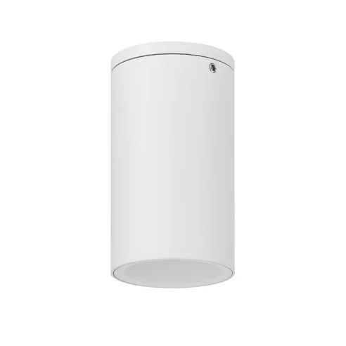 Ceiling lamp Outdoor GU10 1 Light IP54