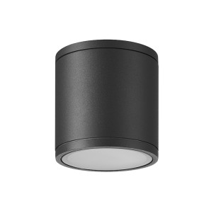 Ceiling lamp Outdoor GU10 1 Light IP54