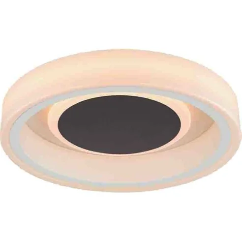 Ceiling Lamp LED