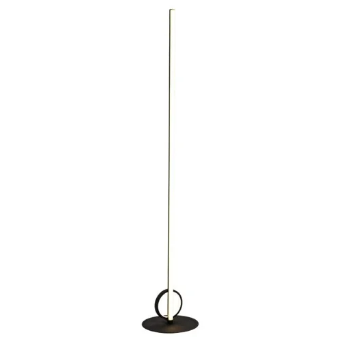 Floor Lamp LED