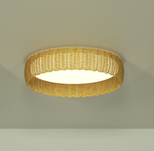 Ceiling Lamp LED 36W Dimmable