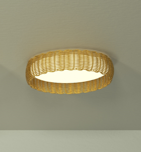 Ceiling Lamp LED 24W Dimmable
