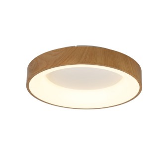 Ceiling Lamp LED Dimmable