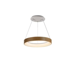 Pendant Lamp LED Dimmable