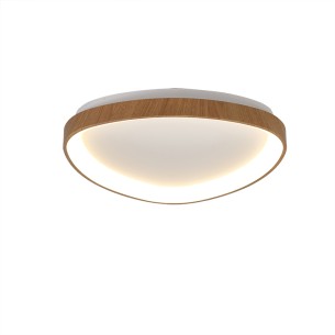 Ceiling Lamp LED Dimmable