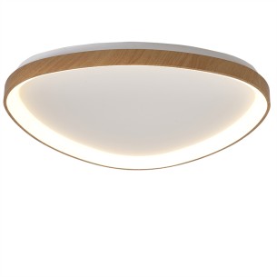 Ceiling Lamp LED Dimmable