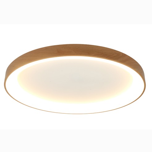 Ceiling Lamp LED Dimmable