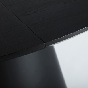 MESA EXTENSIBLE LIZANT 2