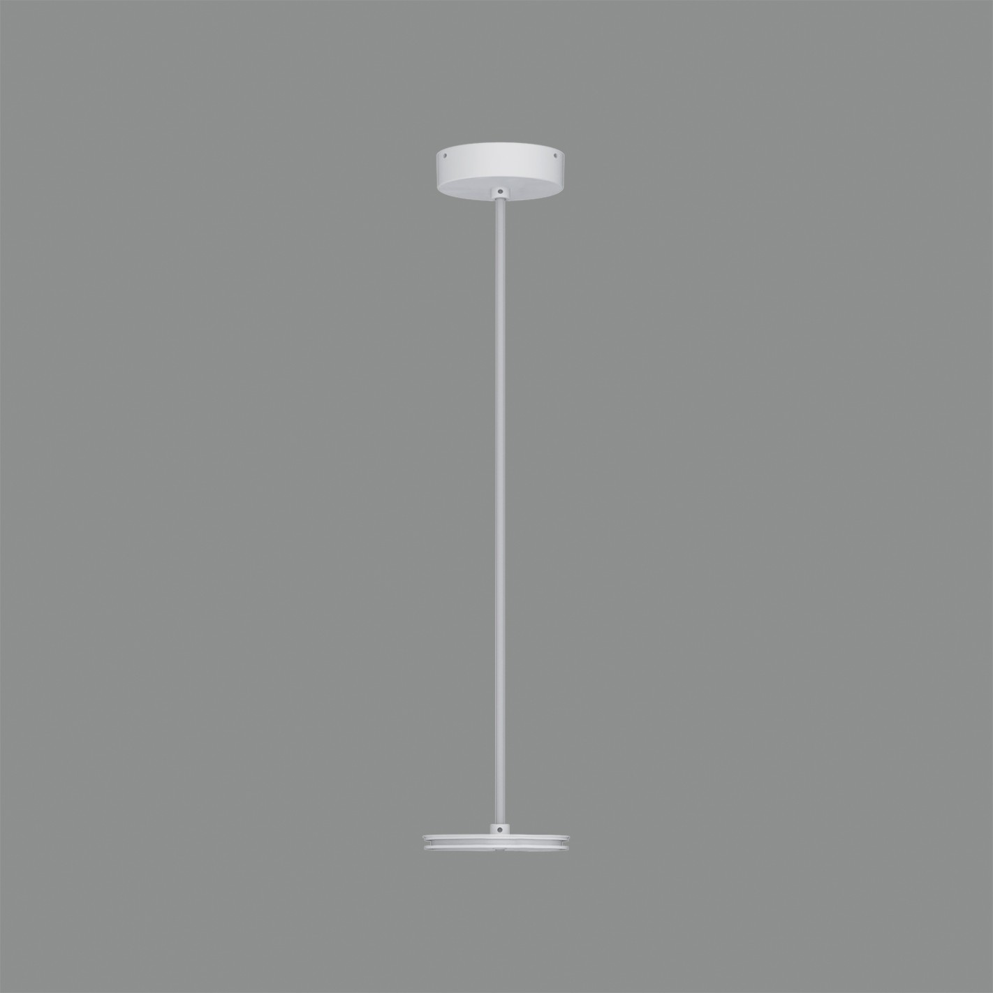 Ø100mm