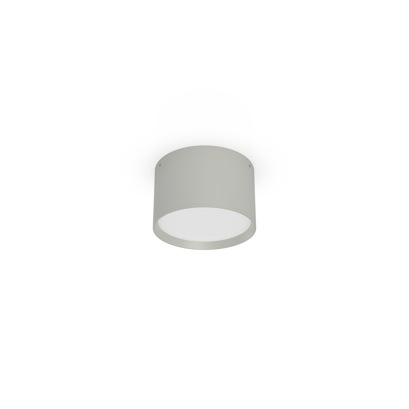 Ø100mm