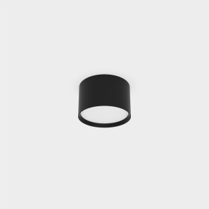 Ø100mm