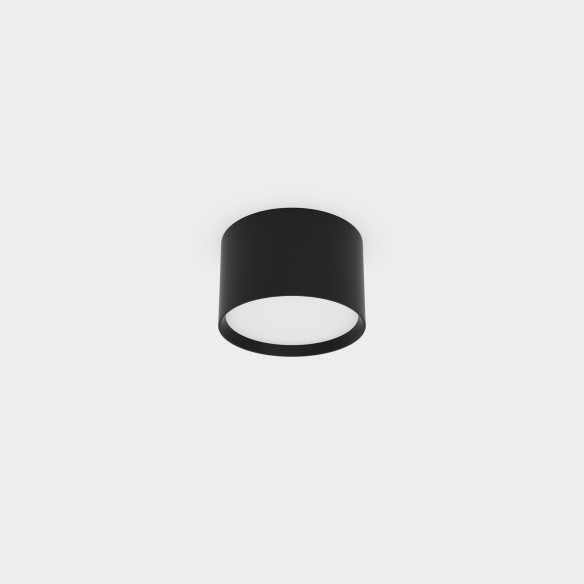 Ø100mm