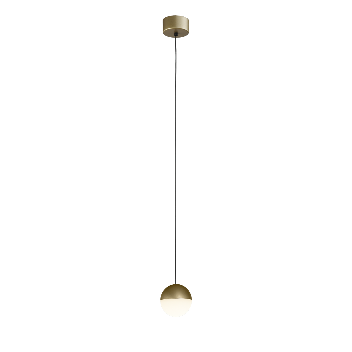 3818/1