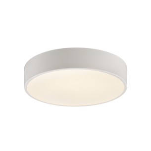 Ø260 mm 2