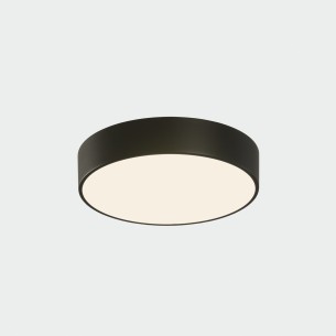 Ø260 mm
