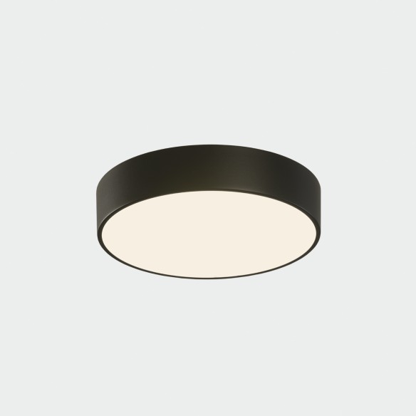Ø260 mm