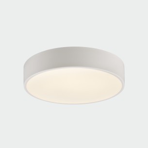 Ø320 mm