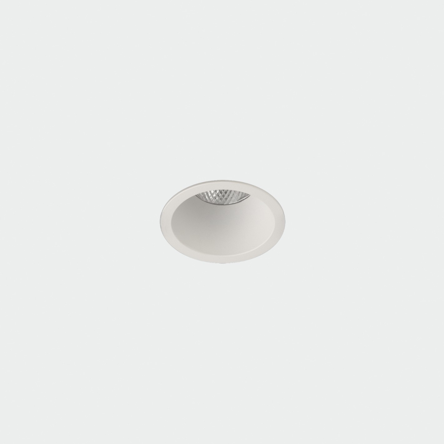 Ø49mm