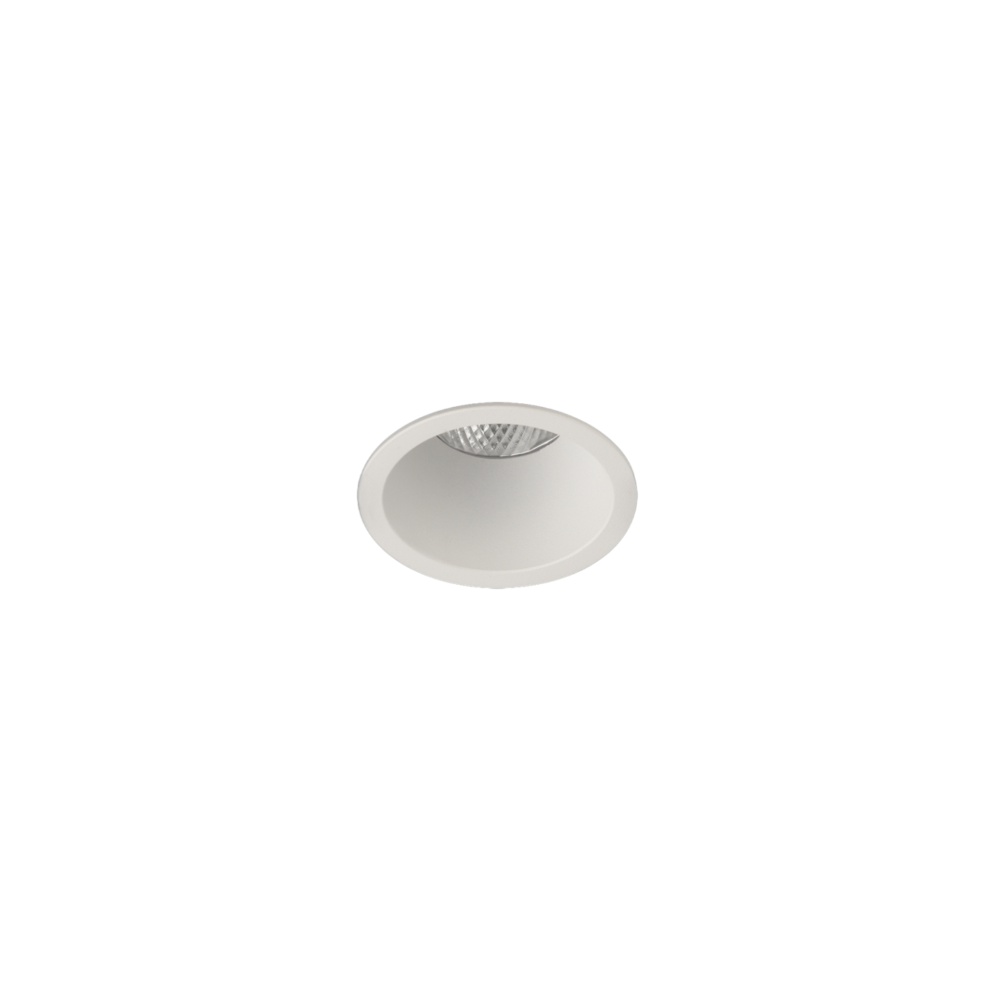 Ø49mm