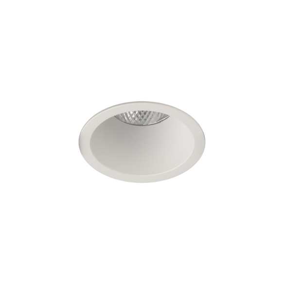 Ø100mm