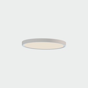 Ø300mm