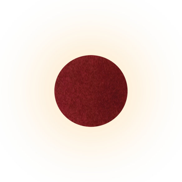 Ø700mm