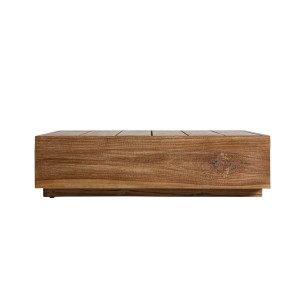 MESA DE CENTRO TRENA 2