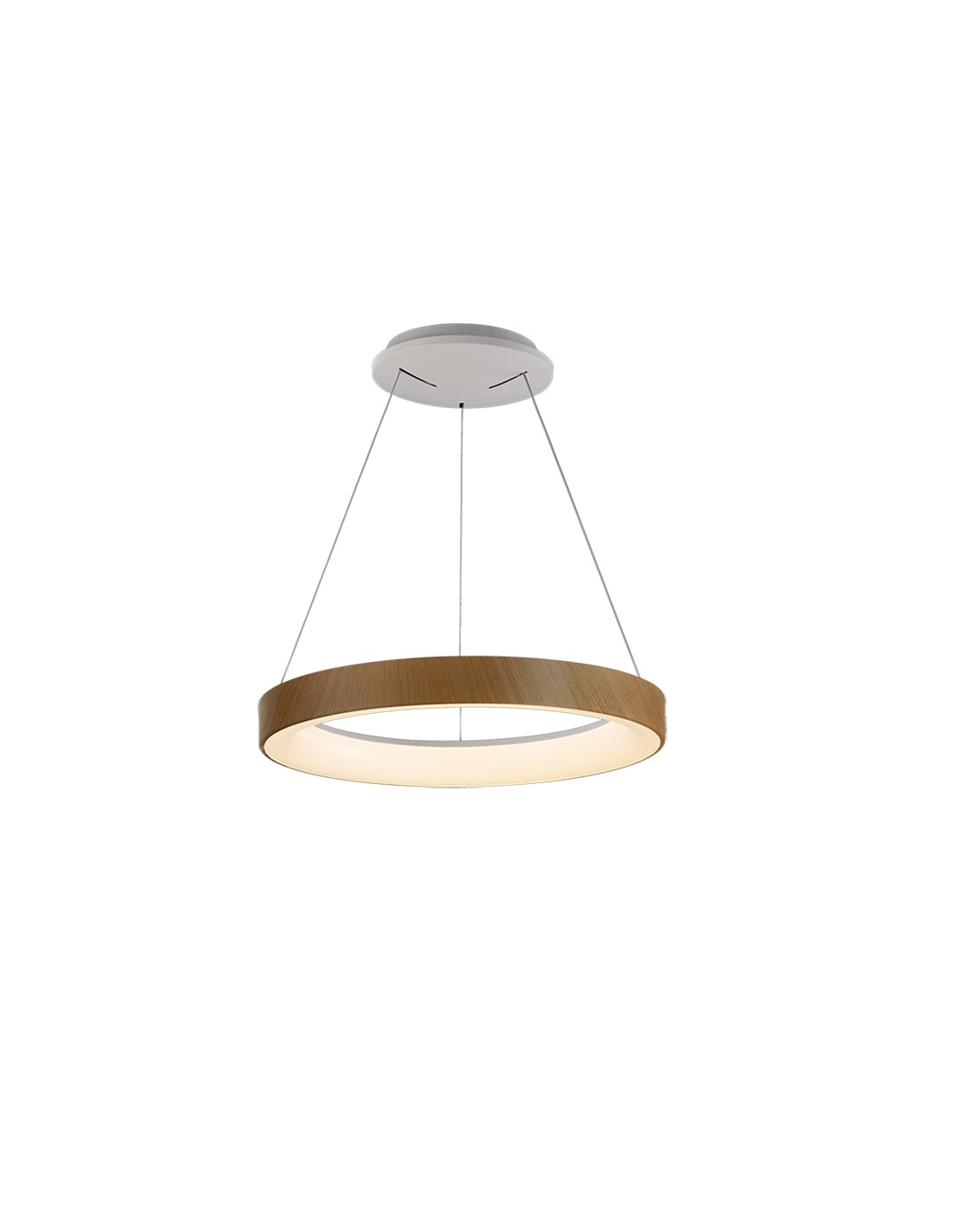 Pendant Lamp LED Dimmable