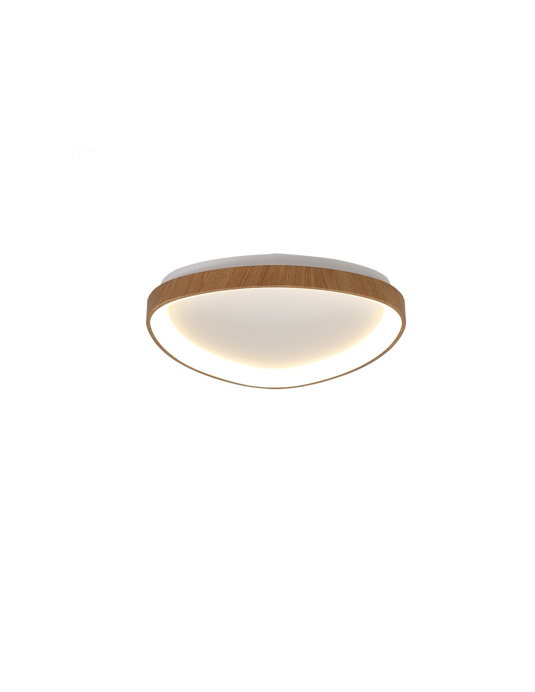 Ceiling Lamp LED