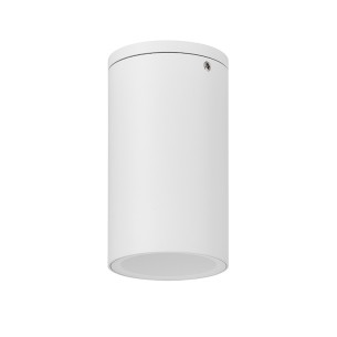 Ceiling lamp Outdoor GU10 1 Light IP54