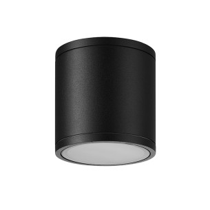 Ceiling lamp Outdoor GU10 1 Light IP54