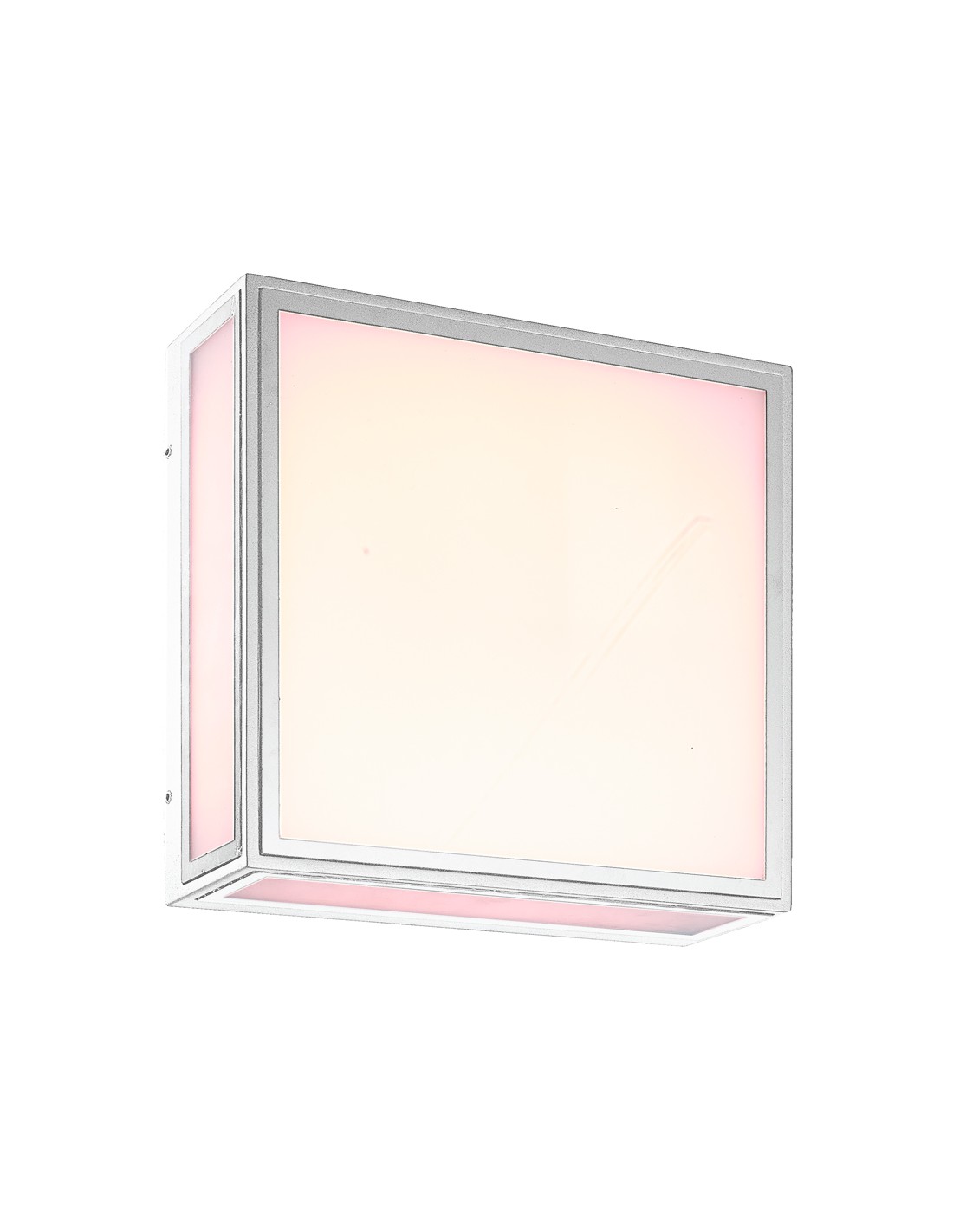 Ceiling/Wall lamp Outdoor IP65