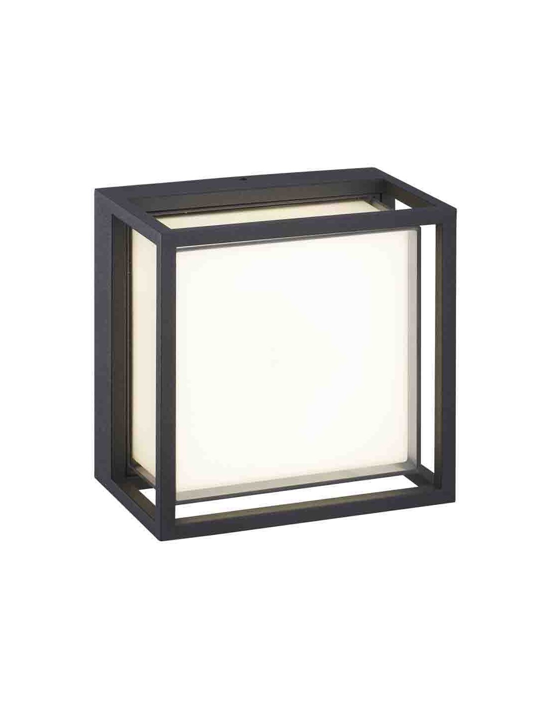Ceiling/Wall lamp Outdoor IP65