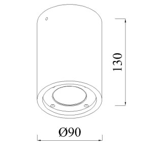 Ceiling Spot IP65 2