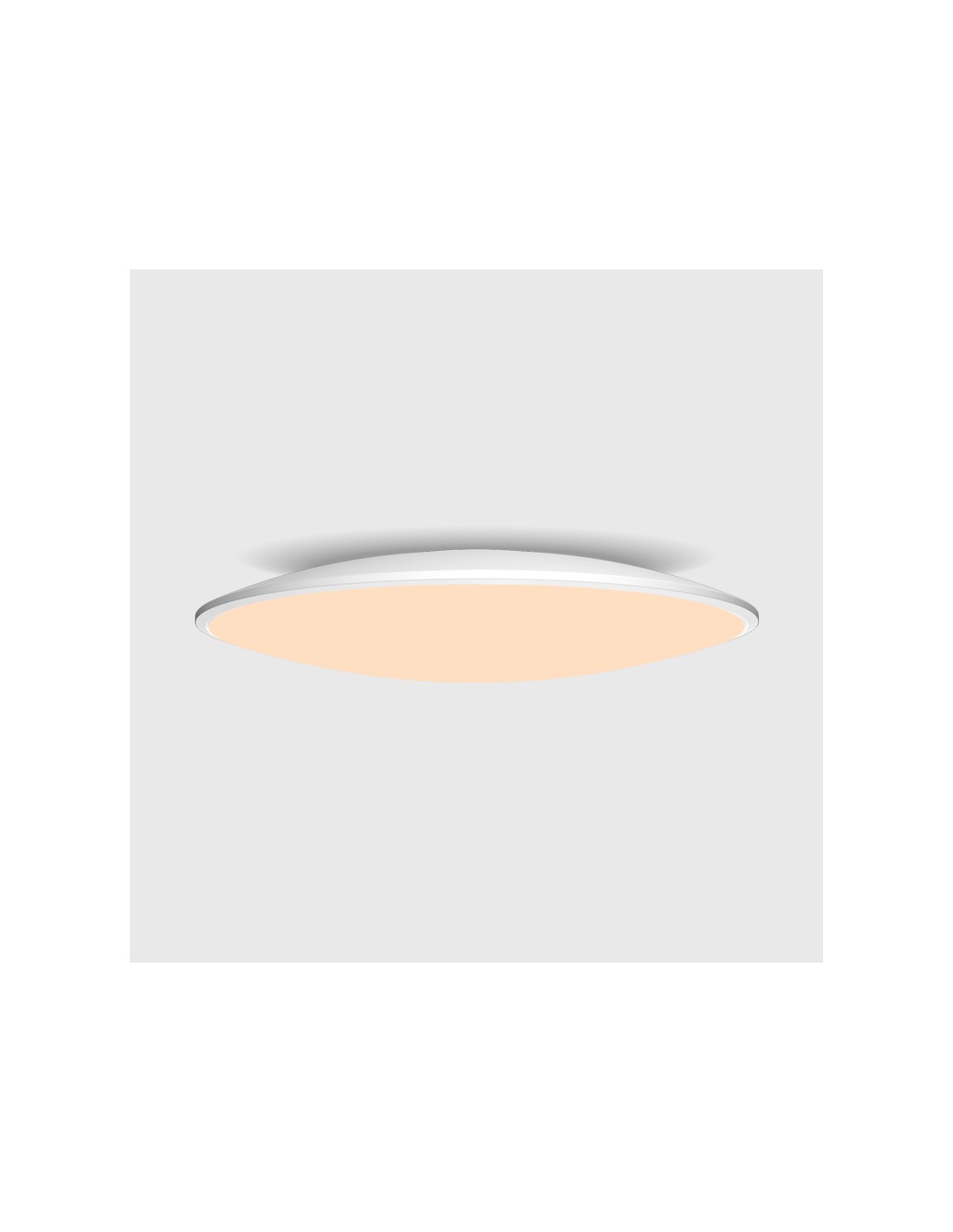 Ceiling Lamp LED 24W 3000K