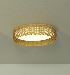 Ceiling Lamp LED 24W 2700K/4000K/5000K