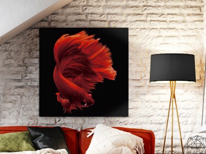 ROJO SIAM- FOTO 100x100