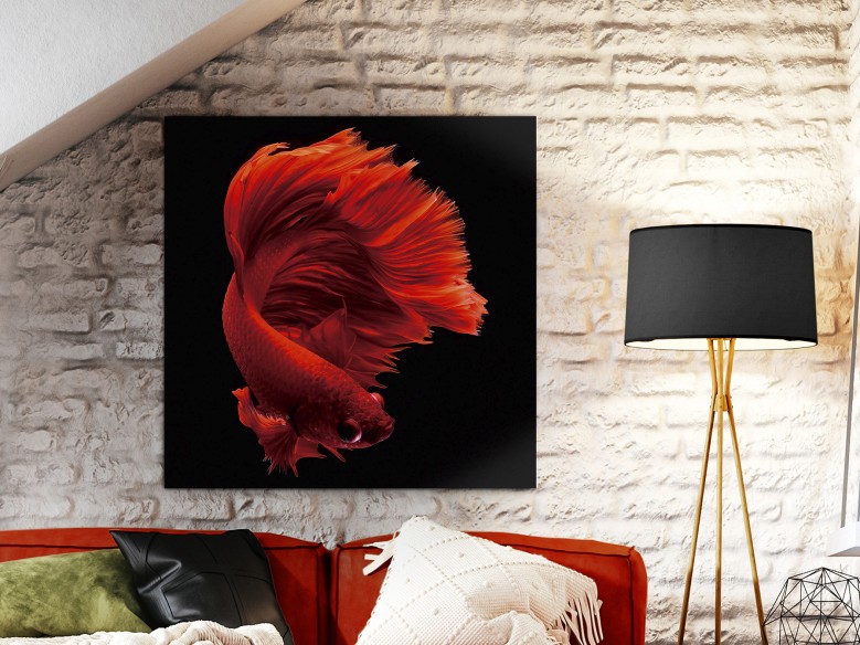 ROJO SIAM- FOTO 100x100